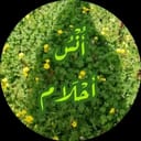 أُنْس أحلام