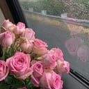 إشراق نعيم
