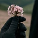 فَاطِمَۃ عسَّلہَا اللّه