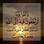 علي شيحي